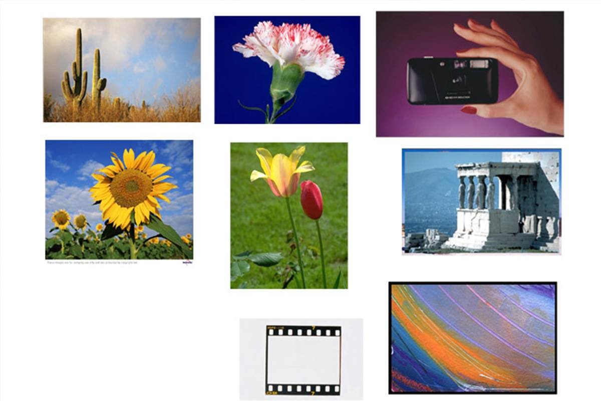 **Để Cắt Ảnh Ta Dùng Công Cụ Gì? Top 10 Phần Mềm Cắt Ảnh Tốt Nhất 2024**