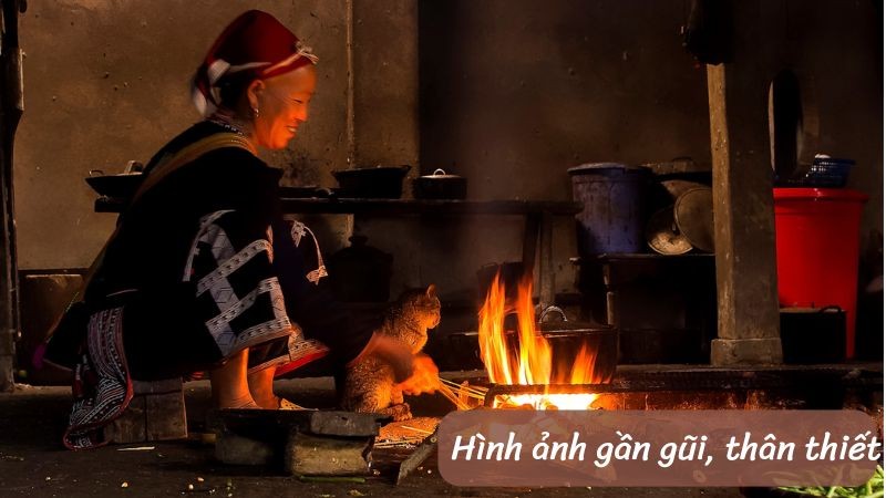 Nêu Tác Hại Của Virus Máy Tính? Cách Phòng Tránh Hiệu Quả