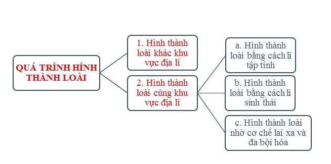 **Hình Thành Loài Mới Bằng Con Đường Địa Lí Thường Gặp Ở Đâu?** **Hình Thành Loài Mới Bằng Con Đường Địa Lí Thường Gặp Ở Đâu?**