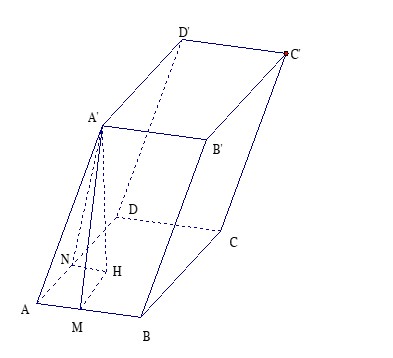 Đặc Điểm Của Hệ Tuần Hoàn Hở Là Gì? Giải Đáp Chi Tiết