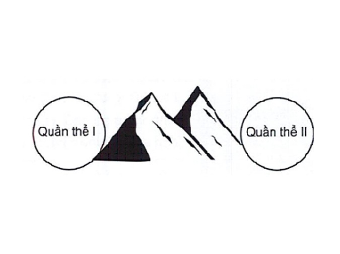 Ví dụ về quá trình hình thành loài