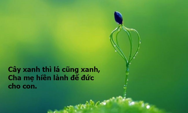 Ca Dao Về Đạo Đức: Tuyển Chọn, Phân Tích & Ý Nghĩa Sâu Sắc Ca Dao Về Đạo Đức: Tuyển Chọn, Phân Tích & Ý Nghĩa Sâu Sắc