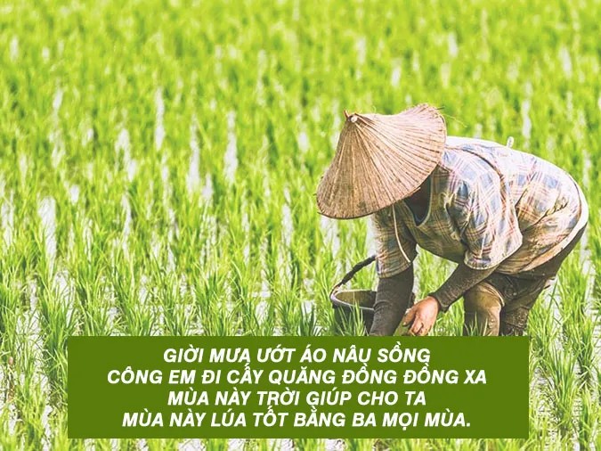 Cuộc Khởi Nghĩa Lam Sơn: Vai Trò Nhân Dân Ninh Bình Trong Lịch Sử?
