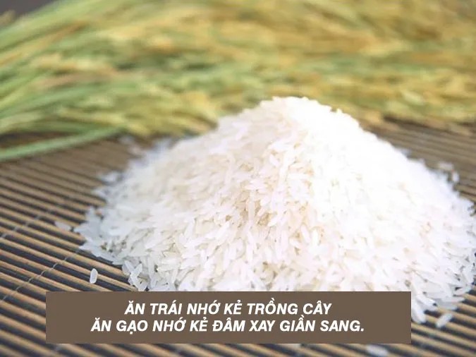 Cuộc Khởi Nghĩa Lam Sơn: Vai Trò Nhân Dân Ninh Bình Trong Lịch Sử?