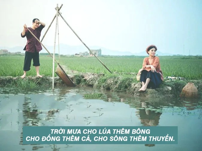 Ca Dao Về Cây Lúa: Tuyển Chọn Hay Nhất Về Nông Nghiệp Việt Ca Dao Về Cây Lúa: Tuyển Chọn Hay Nhất Về Nông Nghiệp Việt
