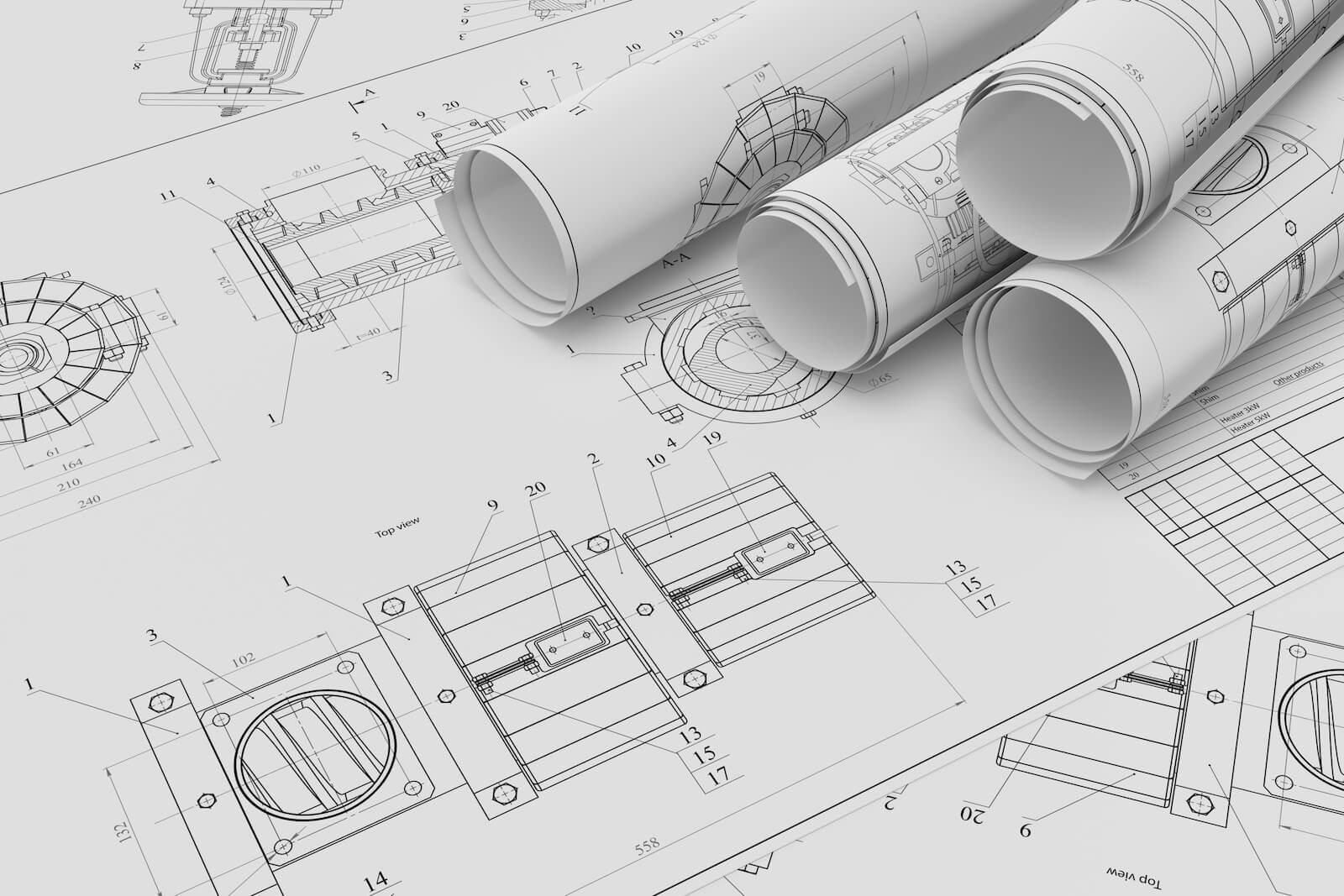 Dù Chân Bị Gãy, Chú Chó Eli Vẫn Trở Thành Thành Viên Gia Đình