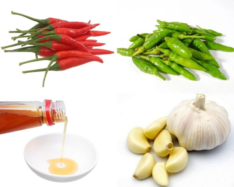 **Cách Ngâm Ớt Nước Mắm Ngon Giòn, Để Lâu Không Bị Nổi Váng?** **Cách Ngâm Ớt Nước Mắm Ngon Giòn, Để Lâu Không Bị Nổi Váng?**