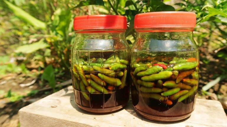 ớt ngâm nước mắm giòn thơm
