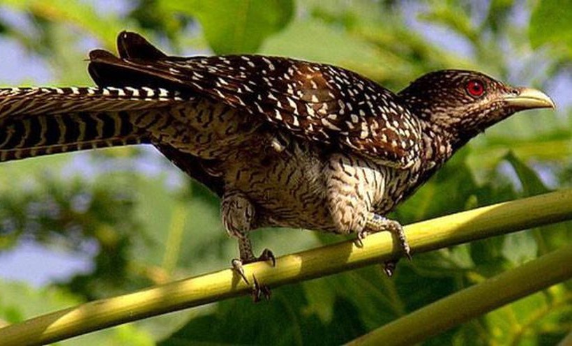 Cảm Nhận Về Bài Thơ Từ Ấy: Phân Tích Chi Tiết và Sâu Sắc Cảm Nhận Về Bài Thơ Từ Ấy: Phân Tích Chi Tiết và Sâu Sắc