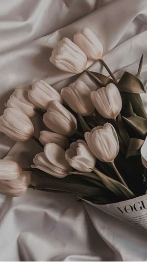 Hình nền hoa tulip vẽ toàn màn hình cho máy tính