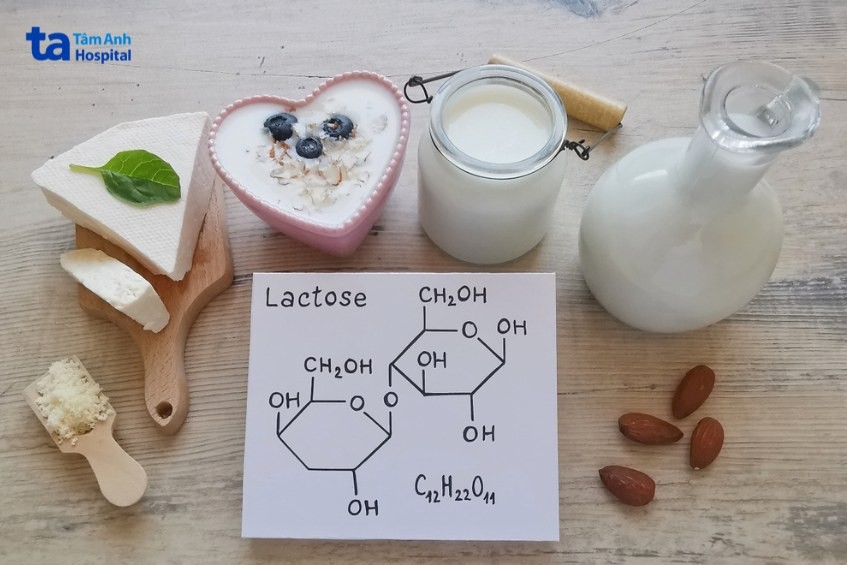 Sapa Thuộc Vùng Khí Hậu Nào? Giải Mã Chi Tiết Từ A Đến Z