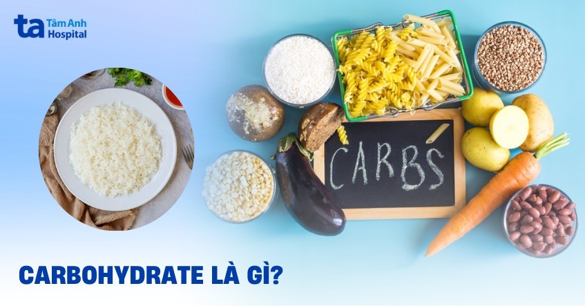 Sapa Thuộc Vùng Khí Hậu Nào? Giải Mã Chi Tiết Từ A Đến Z
