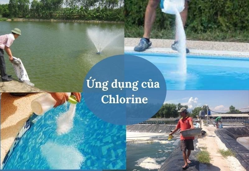 Chlorine Ký Hiệu Là Gì? Tổng Quan Chi Tiết Về Clo (Cl) Chlorine Ký Hiệu Là Gì? Tổng Quan Chi Tiết Về Clo (Cl)