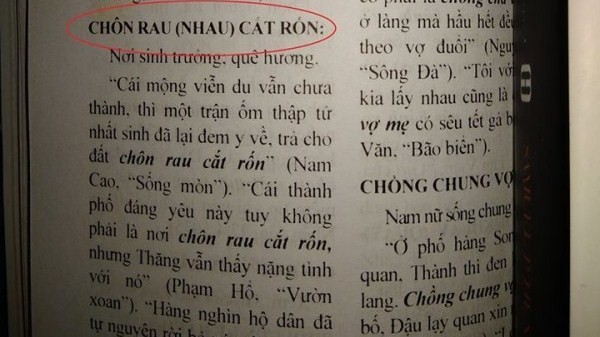 Chôn Nhau Cắt Rốn Hay Chôn Rau Cắt Rốn: Cách Dùng Nào Đúng? Chôn Nhau Cắt Rốn Hay Chôn Rau Cắt Rốn: Cách Dùng Nào Đúng?