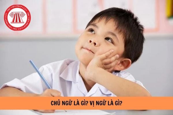 Trạng Ngữ Chủ Ngữ Vị Ngữ Là Gì? Cách Xác Định Dễ Hiểu Trạng Ngữ Chủ Ngữ Vị Ngữ Là Gì? Cách Xác Định Dễ Hiểu