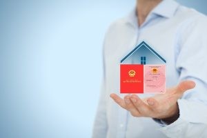 Hãy Tưởng Tượng Mình Là Một Cái Cây: Viết Khoảng 5 Câu Thật Hay!