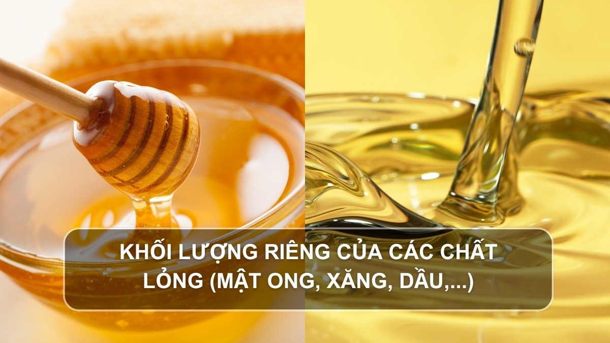 Khối lượng riêng của các chất lỏng