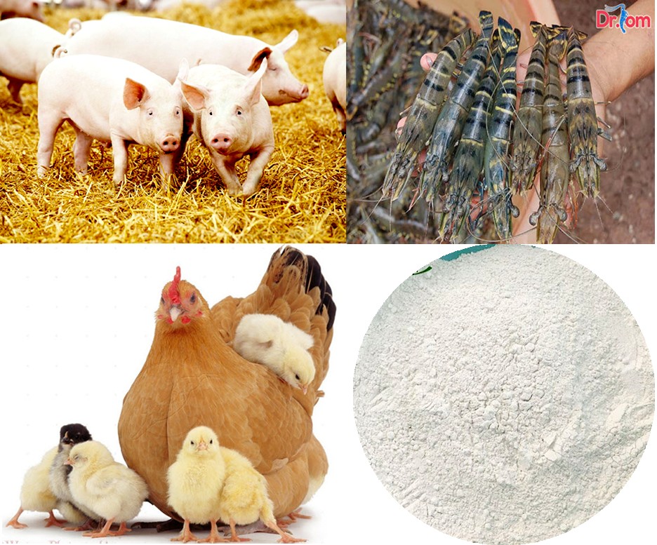 CaHPO4 Có Tan Trong Nước Không? Giải Đáp Chi Tiết Từ A-Z CaHPO4 Có Tan Trong Nước Không? Giải Đáp Chi Tiết Từ A-Z