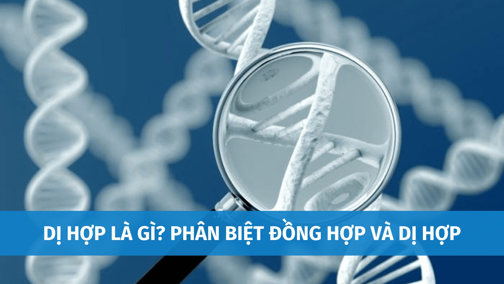 Cặp Gen Dị Hợp Là Gì? Tìm Hiểu Chi Tiết Từ A Đến Z Cặp Gen Dị Hợp Là Gì? Tìm Hiểu Chi Tiết Từ A Đến Z
