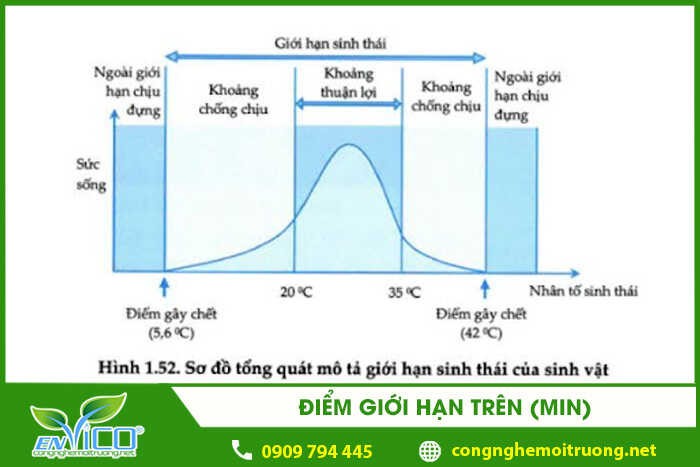 H2SO4 Phân Li Như Thế Nào? Giải Thích Chi Tiết Và Bài Tập
