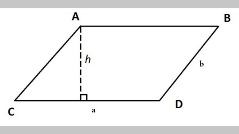 Cách Tính Diện Tích Hình Bình Hành: Công Thức, Bài Tập & Ứng Dụng