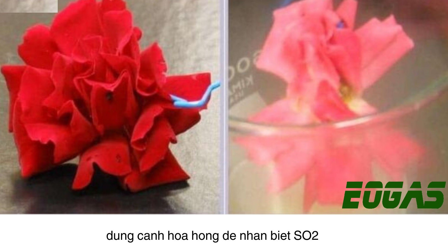 Phản Ứng BaCl2 + SO2: Điều Gì Xảy Ra, Ứng Dụng Và Lưu Ý Quan Trọng?