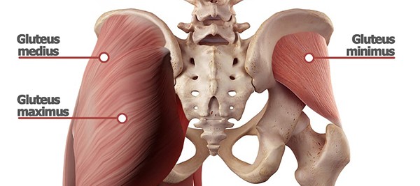 Bơm PE Là Gì? Cấu Tạo, Nguyên Lý Hoạt Động và Ưu Nhược Điểm