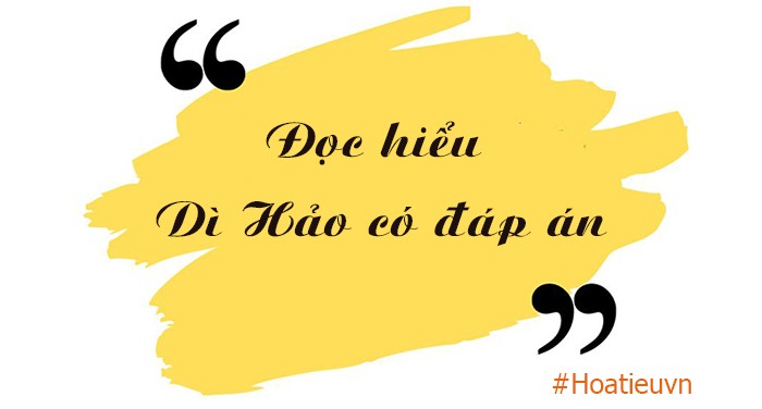 Dì Hảo Đọc Hiểu: Phân Tích Chi Tiết và Bài Tập Đầy Đủ Đáp Án Dì Hảo Đọc Hiểu: Phân Tích Chi Tiết và Bài Tập Đầy Đủ Đáp Án