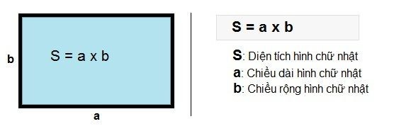 Nguyên Phân Và Giảm Phân: Sự Khác Nhau Quan Trọng Trong Sinh Học?