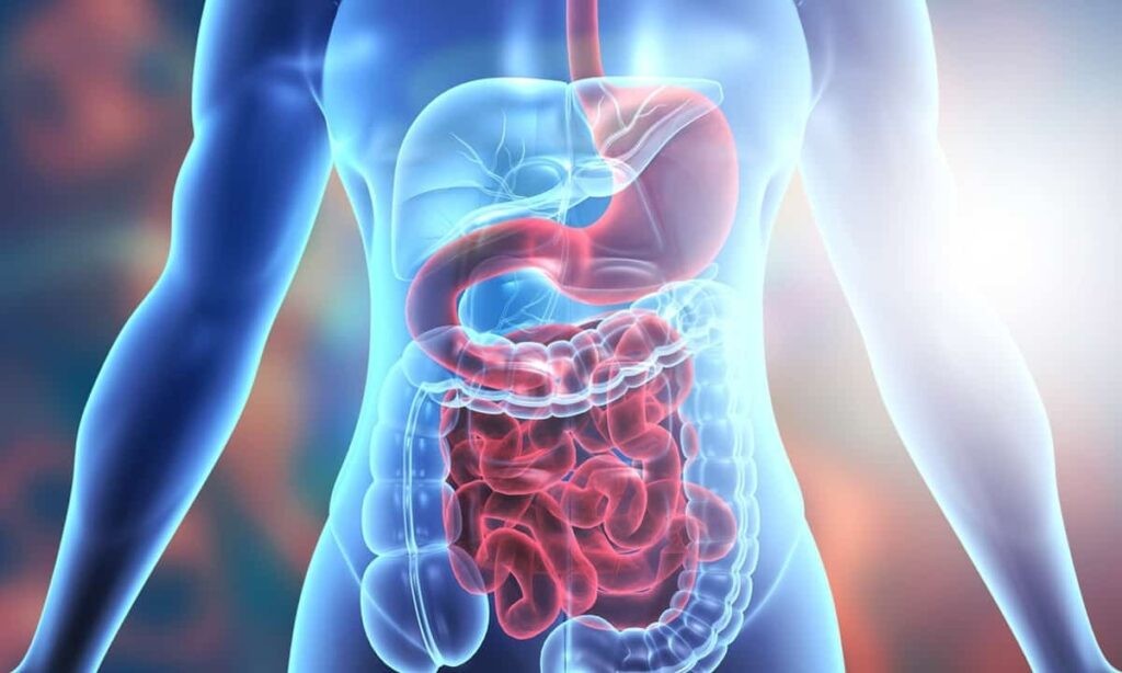 Ý Nghĩa Của Truyện Con Rồng Cháu Tiên Là Gì? Giải Mã Chi Tiết