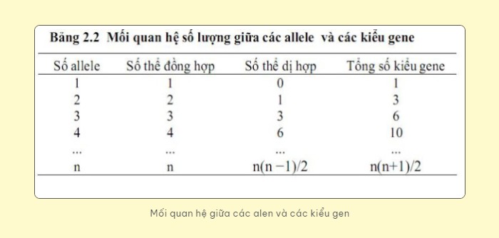 Cách Tốt Nhất Để Bảo Tồn Văn Hóa Là Gì: Bí Quyết Từ CAUHOI2025.EDU.VN