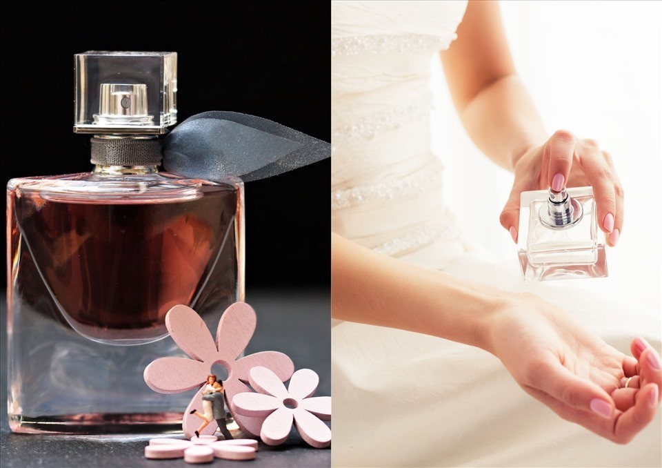 Đường Cao Hình Chóp Là Gì? Cách Xác Định và Tính Toán Chi Tiết