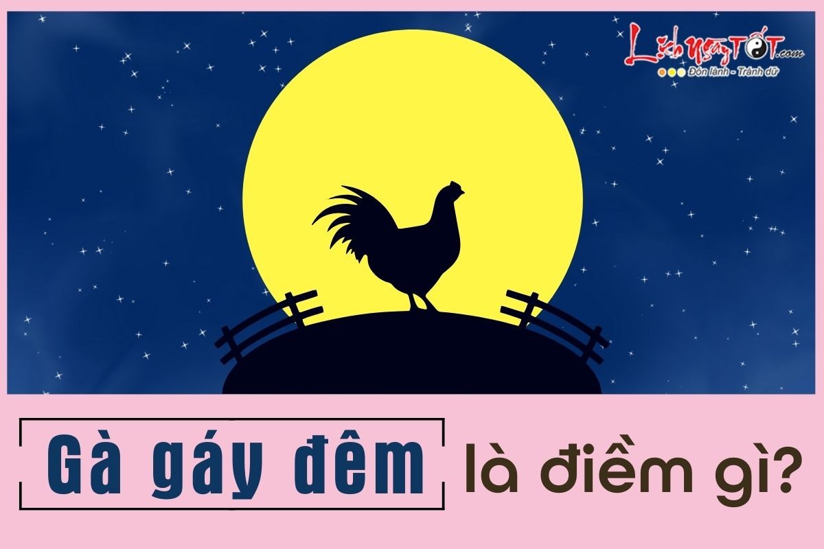 Gà Gáy Lúc 23 Giờ Đêm: Điềm Báo Gì? Giải Mã Chi Tiết Nhất 2025 Gà Gáy Lúc 23 Giờ Đêm: Điềm Báo Gì? Giải Mã Chi Tiết Nhất 2025