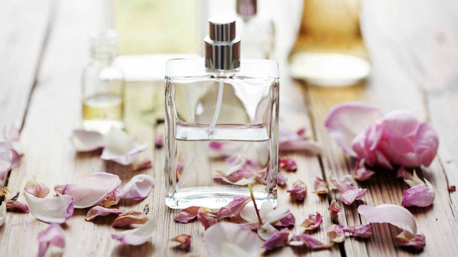 Geraniol Là Gì? Khám Phá Công Dụng Tuyệt Vời Của Geraniol Geraniol Là Gì? Khám Phá Công Dụng Tuyệt Vời Của Geraniol