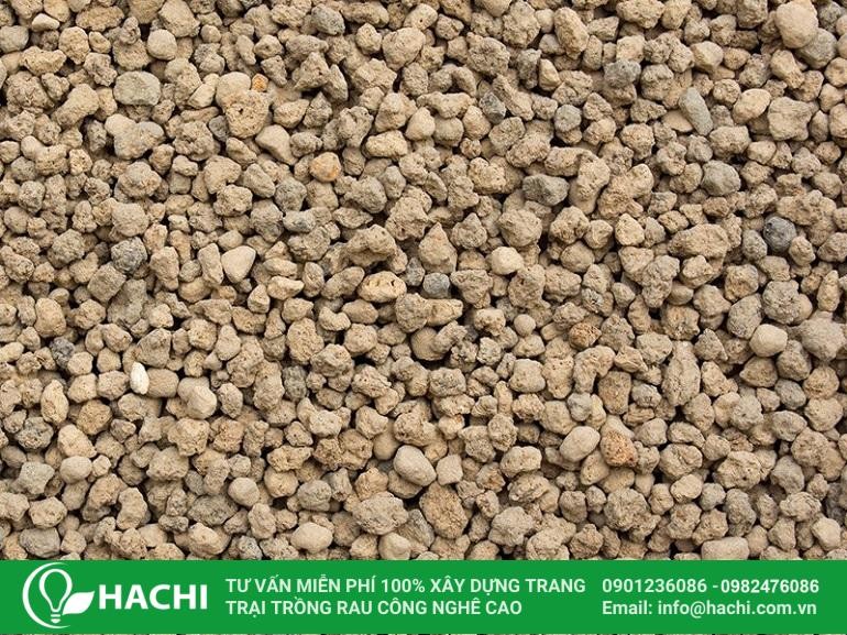 Tại Sao Trái Đất Có Từ Trường: Giải Thích Chi Tiết Nhất 2024