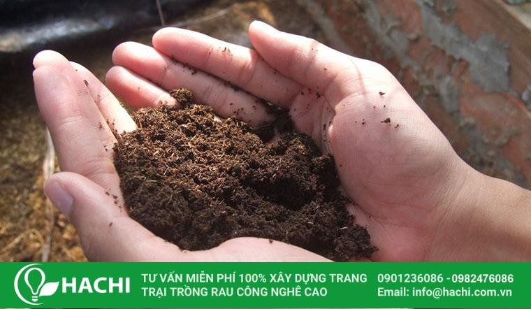 Tại Sao Trái Đất Có Từ Trường: Giải Thích Chi Tiết Nhất 2024