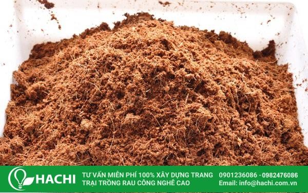 Tại Sao Trái Đất Có Từ Trường: Giải Thích Chi Tiết Nhất 2024