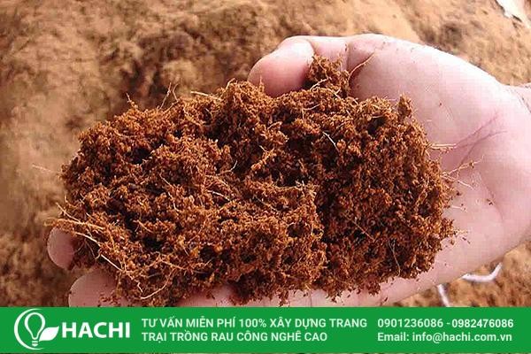 **Giá Thể Có Loại Nào Sau Đây? Giải Đáp Chi Tiết Nhất 2024** **Giá Thể Có Loại Nào Sau Đây? Giải Đáp Chi Tiết Nhất 2024**