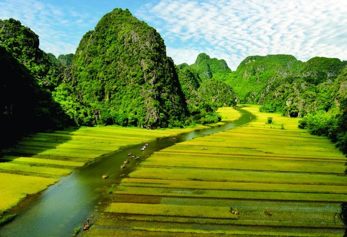 Để Giữ Gìn và Phát Huy Truyền Thống Quê Hương, Cần Lên Án Hành Vi Nào?