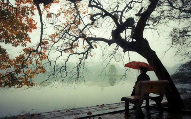 Thời Gian Hoạt Động Của Gió Mùa Đông Bắc Là Khi Nào? Thời Gian Hoạt Động Của Gió Mùa Đông Bắc Là Khi Nào?