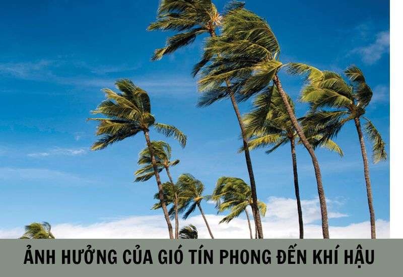 Gió tín phong ảnh hưởng đến khí hậu Việt Nam
