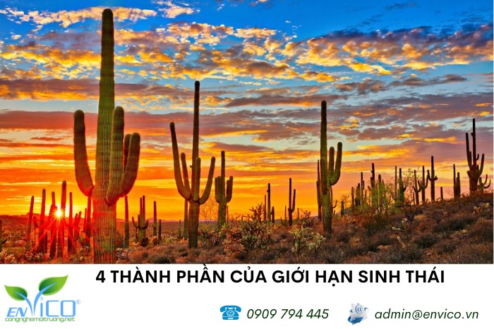 Giới Hạn Sinh Thái Về Nhiệt Độ Của Cá Rô Phi Ở Việt Nam Là Bao Nhiêu? Giới Hạn Sinh Thái Về Nhiệt Độ Của Cá Rô Phi Ở Việt Nam Là Bao Nhiêu?