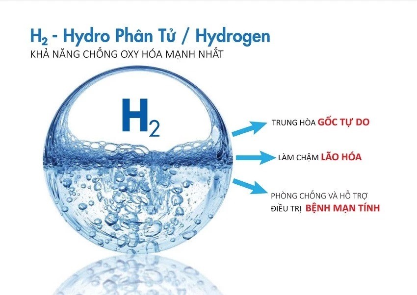Ý Nào Dưới Đây Không Phải Lý Do Mỹ Latinh Bùng Cháy Sau Thế Chiến II?
