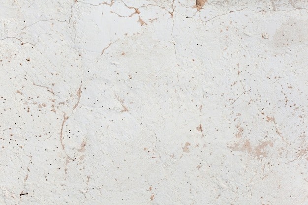 Con Gì Ăn Lửa Với Than? Giải Mã Câu Đố Hại Não Cho Bé Con Gì Ăn Lửa Với Than? Giải Mã Câu Đố Hại Não Cho Bé