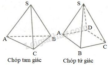 Đường Cao Hình Chóp Là Gì? Cách Xác Định và Tính Toán Chi Tiết Đường Cao Hình Chóp Là Gì? Cách Xác Định và Tính Toán Chi Tiết