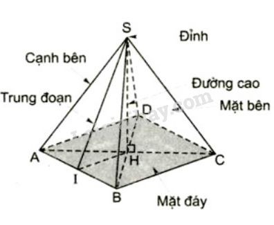 Hình chóp tứ giác đều