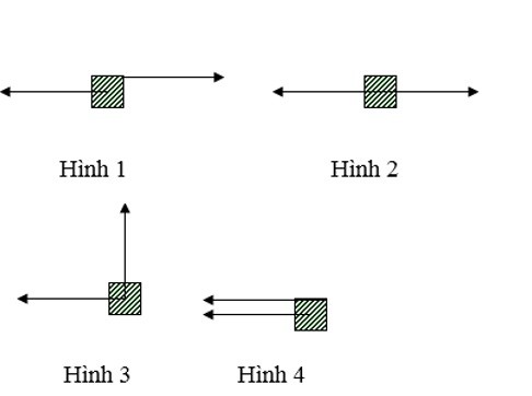 Khí Hậu Bắc Trung Bộ: Đặc Điểm, Ảnh Hưởng và Giải Pháp Thích Ứng?