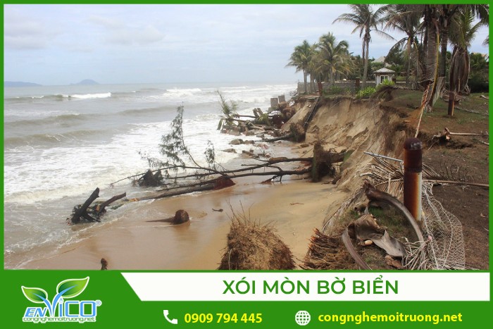 Vì Sao Sự Cẩu Thả Trong Bất Cứ Nghề Gì Cũng Là Bất Lương?