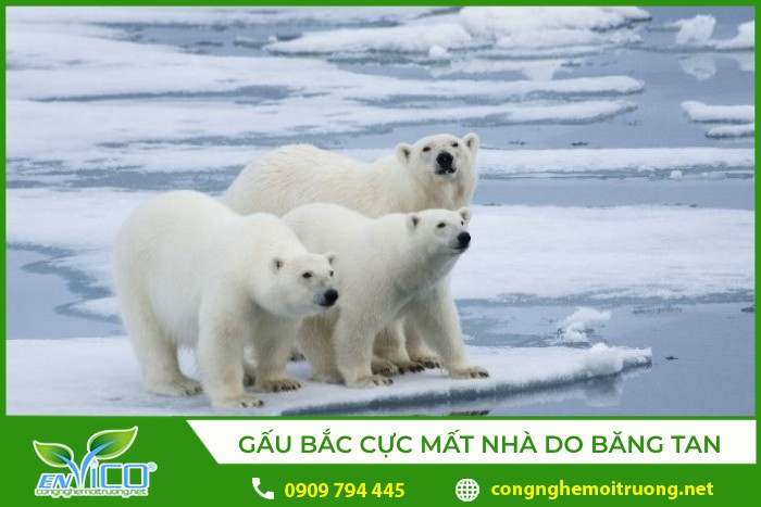 Vì Sao Sự Cẩu Thả Trong Bất Cứ Nghề Gì Cũng Là Bất Lương?