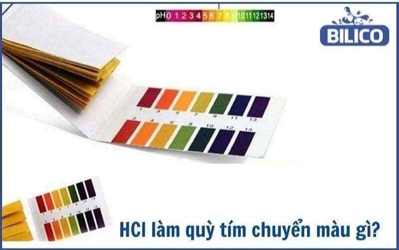 HCL Tác Dụng Với Quỳ Tím: Điều Gì Xảy Ra Và Tại Sao? HCL Tác Dụng Với Quỳ Tím: Điều Gì Xảy Ra Và Tại Sao?